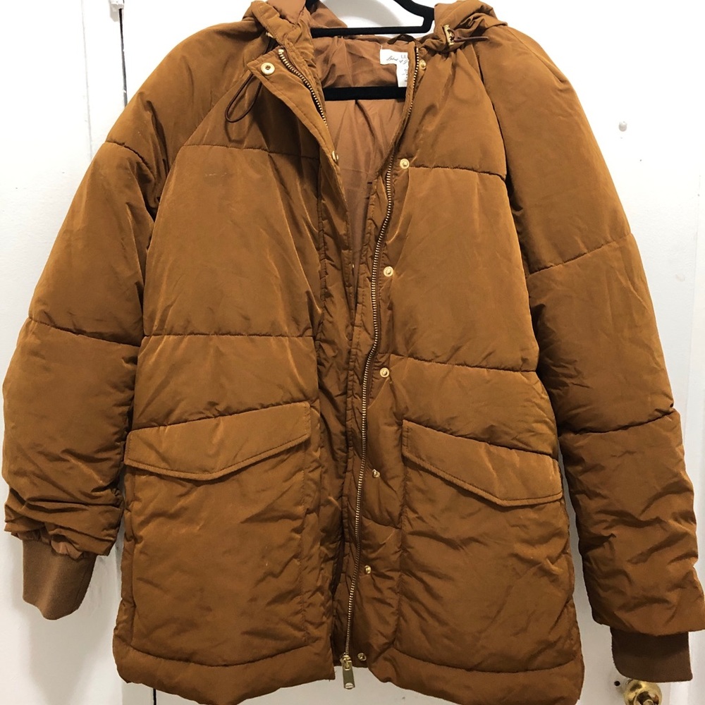 Brown puffer